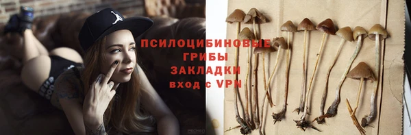 не бодяженный Арсеньев