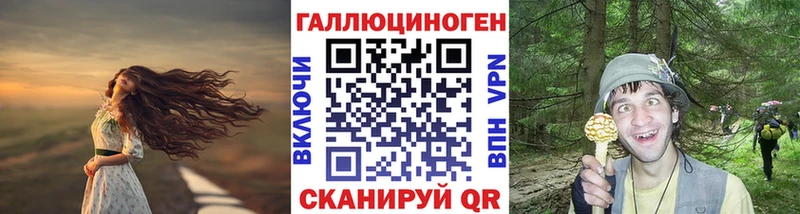 магазин продажи наркотиков  Сертолово  Галлюциногенные грибы Magic Shrooms 
